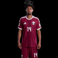 Fifa World Cup Qatar GIF by Respective
