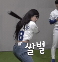 야구 GIF