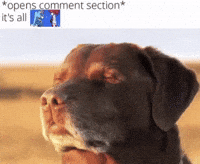 Of All Time Instagram GIF