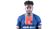 France What Sticker by Paris Saint-Germain Handball