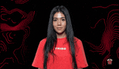 Excuse Me What GIF by Tribe Gaming