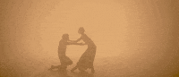the little prince ballet GIF by The Orchard Films