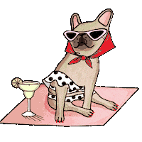 Sassy French Bulldog Sticker