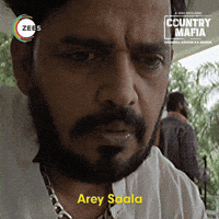 Zee5Shows mafia sala ravi kishan country mafia GIF