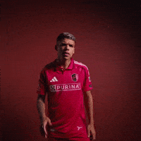 Stl Celio GIF by St. Louis CITY SC