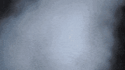Littlerocksoc GIF by Little Rock Athletics