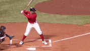 Home Run Baseball GIF by MLB