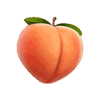 Cardi B Booty Sticker by Fashion Nova