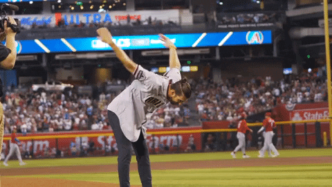 Happy Major League Baseball GIF by MLB