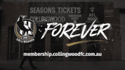 community afl GIF by CollingwoodFC
