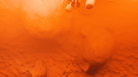 festival crashing GIF by Astralwerks