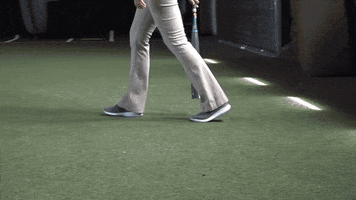 PRCCAthletics softball wildcats mississippi juco GIF