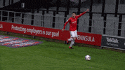 Happy Celebration GIF by Salford City FC