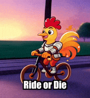 Ride Or Die Travel GIF by Zorooster