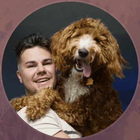 davidlipan0 giphygifmaker giphyattribution GIF