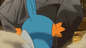Alpha Sapphire GIF by Pokémon