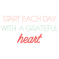 Words Frases Sticker by Magnólia Papelaria