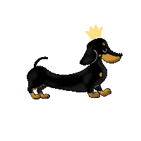 Happy Sausage Dog Sticker
