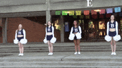 BCStudentPrograms cheersquad bellevuecollege bcstudentlife bc cheer GIF