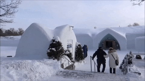 Quebec City Travel GIF by Truly.