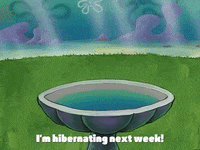 season 2 prehibernation week GIF by SpongeBob SquarePants