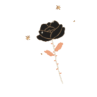 Black Magic Halloween Sticker