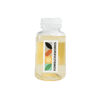 KombuchaWorks tea healthy fresh kombucha Sticker
