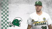 baseball college GIF by GreenWave