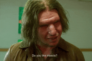 Do You Like Insects?