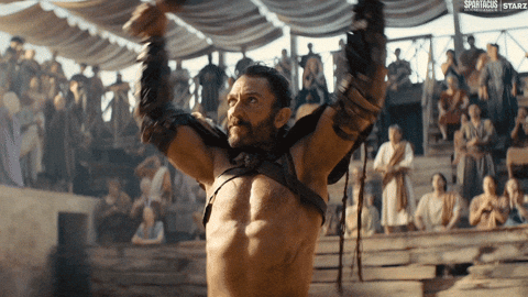 Lets Go Fight GIF by Spartacus