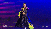 Wwe Wrestling GIF by USA Network