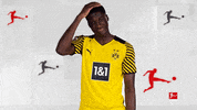 No Way Omg GIF by Bundesliga