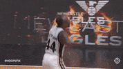 Celebrate British Basketball GIF by Hoopsfix