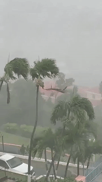 Wind and Rain Lash St Thomas as Hurricane Dorian Hits