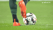 football soccer GIF by VfL Wolfsburg