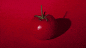 tomato GIF by Caitlin Craggs