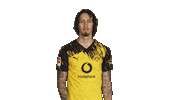 Borussia Dortmund Silva Sticker by Bundesliga