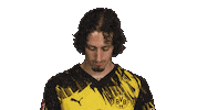Borussia Dortmund Silva Sticker by Bundesliga