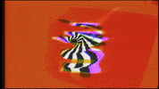 Video Art GIF by cskonopka