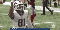 Regular Season Football GIF by NFL