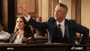 Episode 2 Nbc GIF by Law & Order