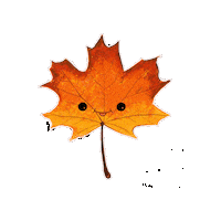 Maple Leaf Smiling Sticker