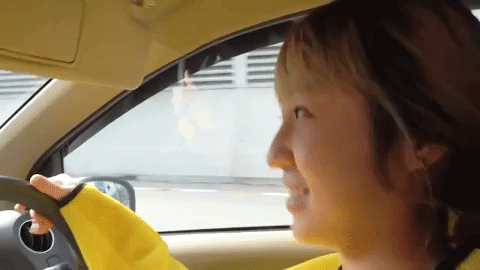sunbeary GIF