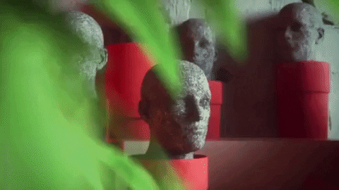 Everyone Blooms GIF by The Front Bottoms