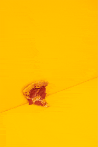 linneabullion pizza ugh meh slice GIF