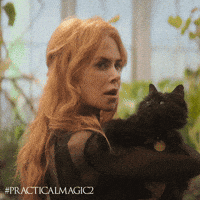 Nicole Kidman Cat GIF by Warner Bros. Pictures