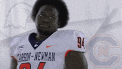 Carson Newman Football GIF by Carson-Newman Athletics