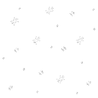Stars Rain Sticker