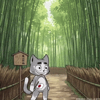 Japan Japanese GIF by Hero Galaxy NFT