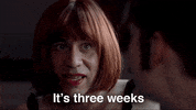 season 3 GIF by Portlandia